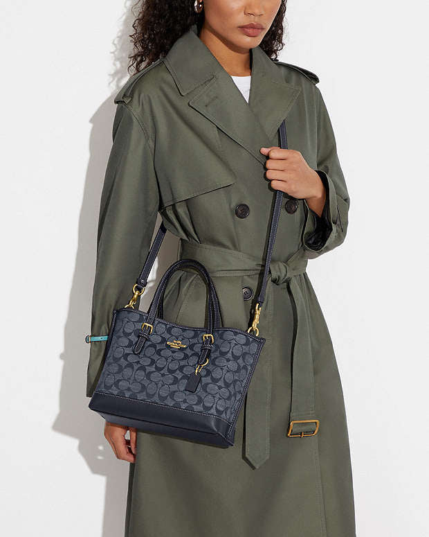 Coach Mollie Tote Bag 25