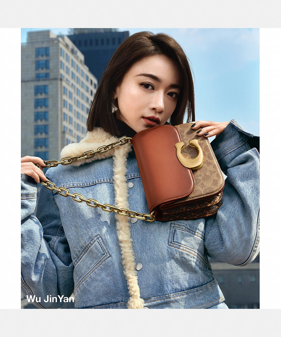 Coach idol bag