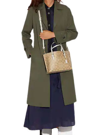 Coach Mollie Tote Bag 25