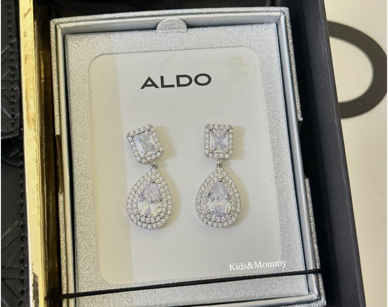 Aldo gift set