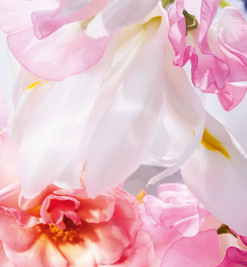 Miss Dior Eau de Parfum
Eau de Parfum - Velvety and Sensual Notes-50ml