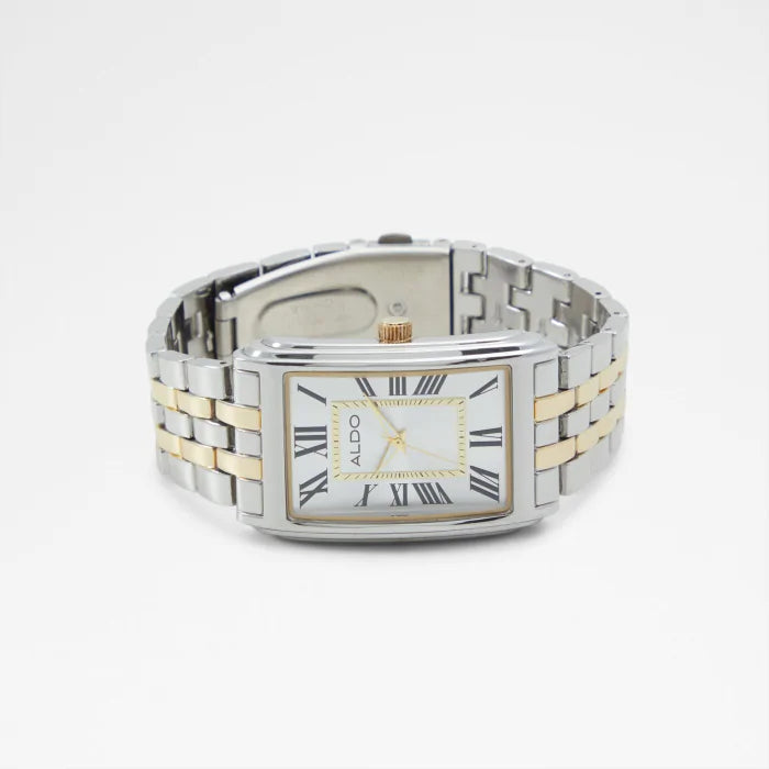 Aldo Ashcott men’s watch