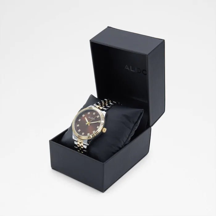 Aldo Trawien men’s watch