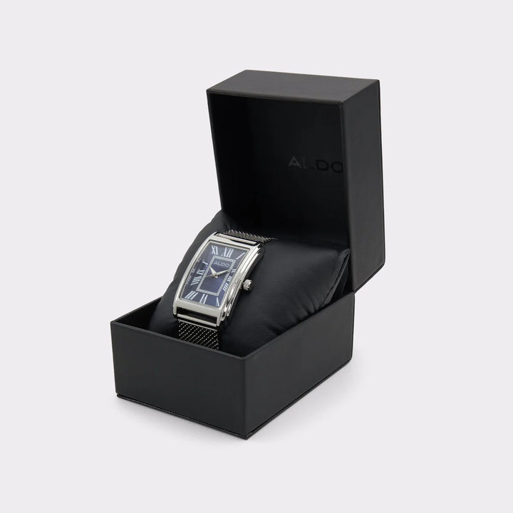 ALDO Rhendab watch