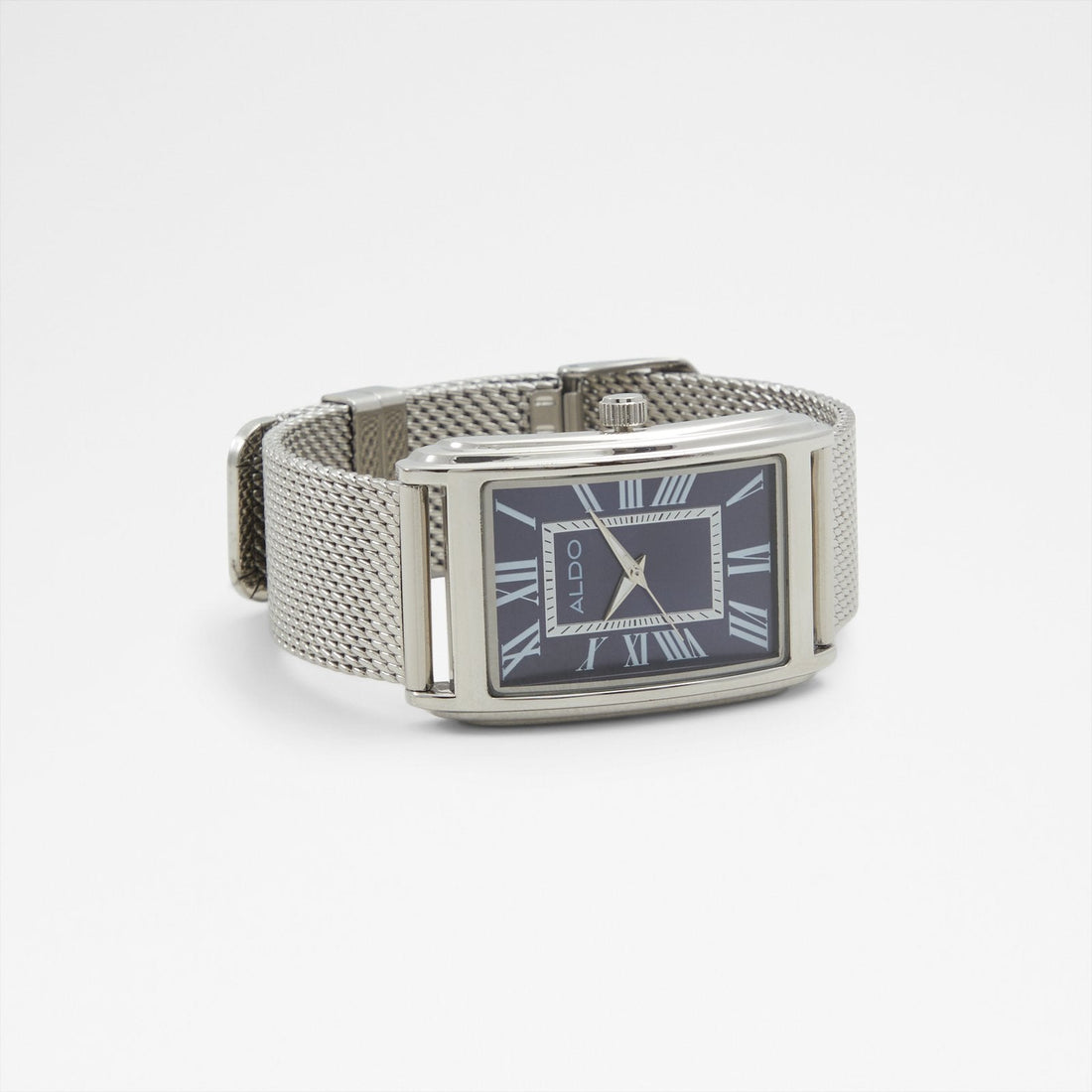 ALDO Rhendab watch